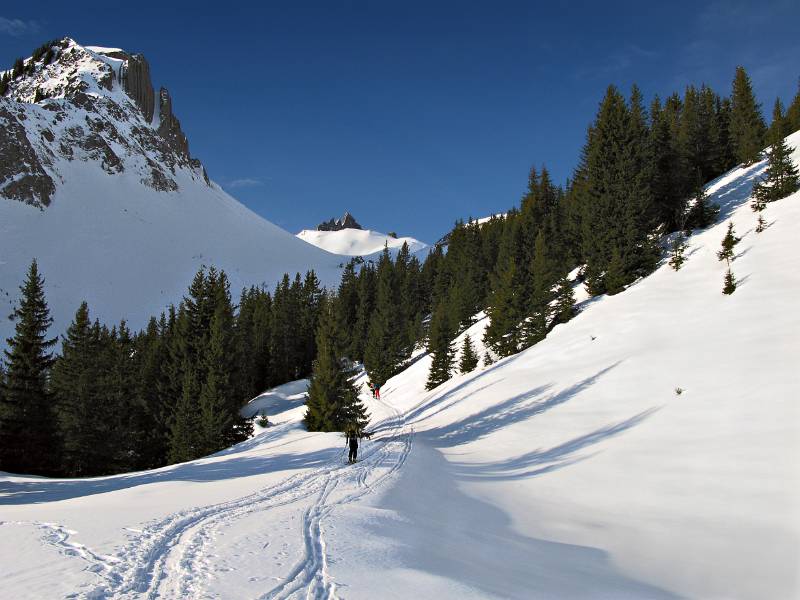 Schöne Route über dem Wald mit blick auf Lobhörner im Hintergrund