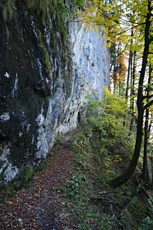 Der Wanderweg Richtung Wissiflue