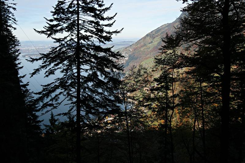 Immer wieder kann man zwischen Bäumen einen Blick auf Vierwaldstättersee und