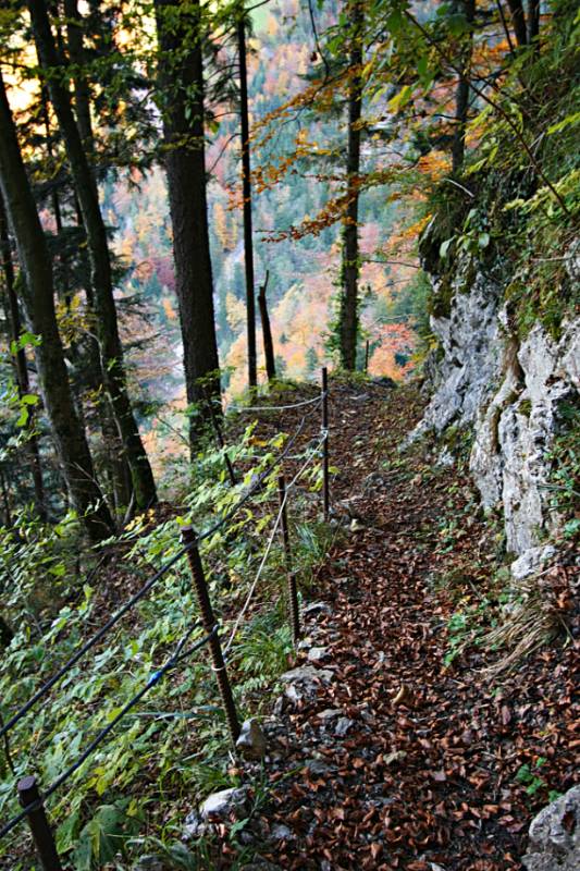 So sieht ein Abschnitt von Wanderweg aus