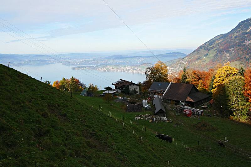 Wissiflue: der Bauernhof mit tollen Aussichten