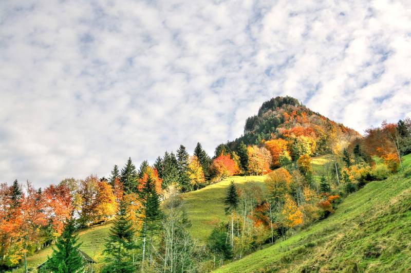 Vitznauer- Gersauerstock und die Farben von Herbst