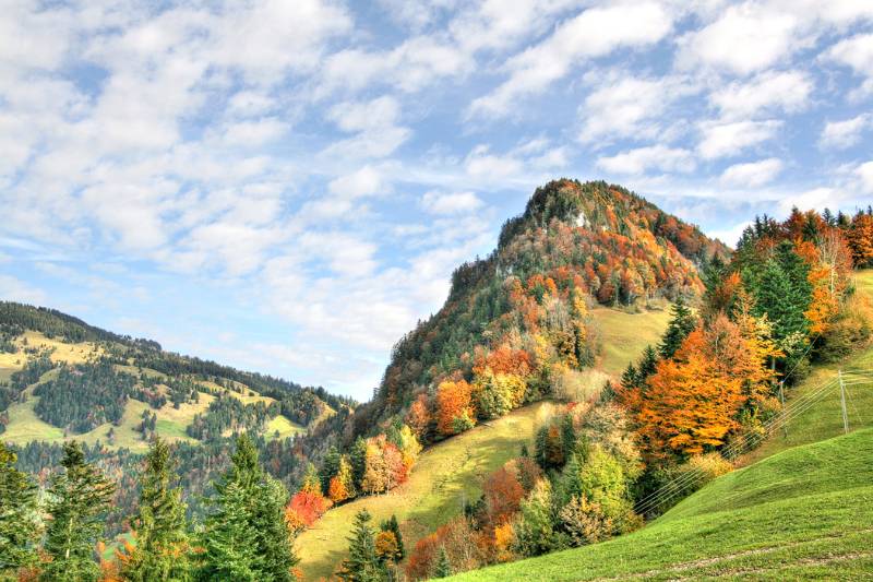 Vitznauer- Gersauerstock kommt langsam näher