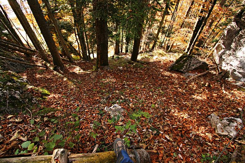 Der letzte Abschnitt des Aufstiegs geht steil im Wald hinauf