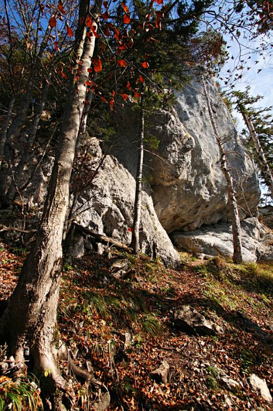 Der Wanderweg zwischen Bäumen und Felsen