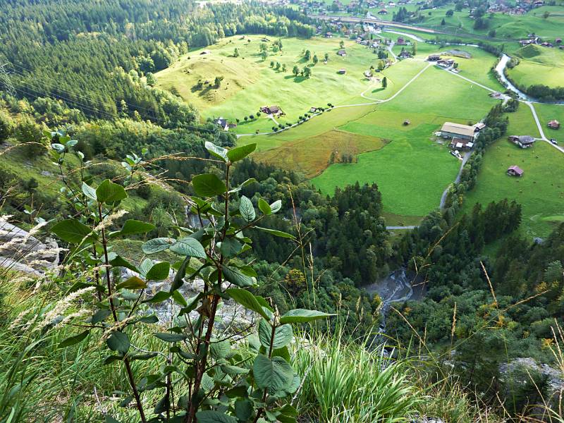 Blick Richtung Kandersteg