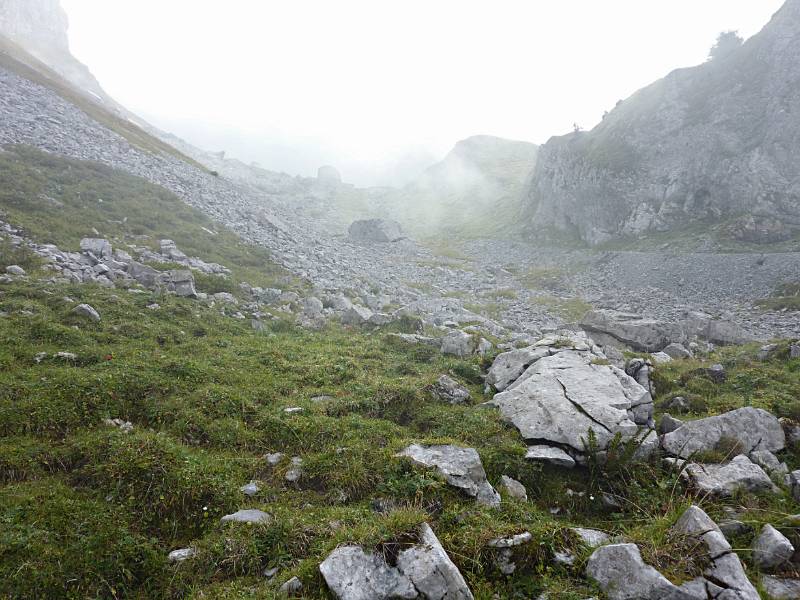 Immer noch Nebel beim Abstieg