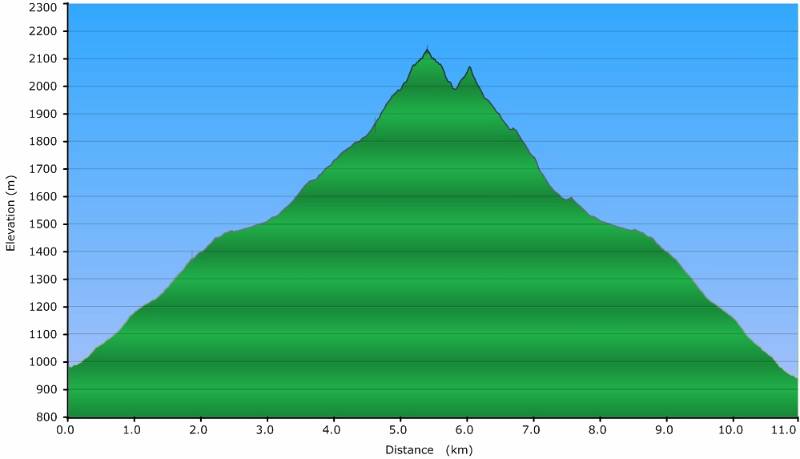 Höhenprofil der Route. Distanz - 11km