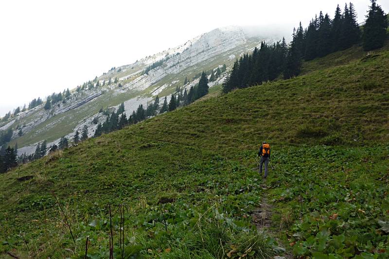 Fernsicht ist nicht besonders gut aber Wanderweg sieht man ohne Probleme