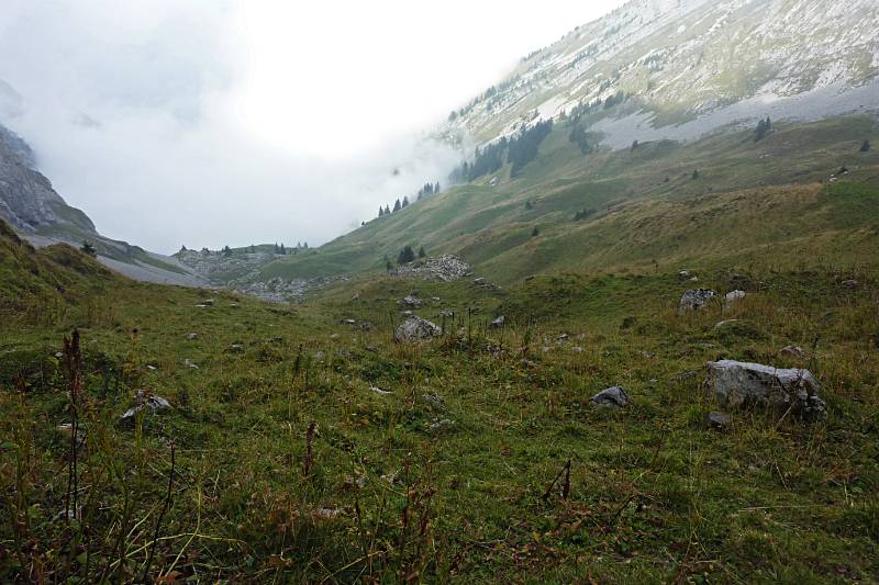 Oberhalb von Hohfläschenmatt. Blick Richtung Grat zwischen Plattenberg und Brünnelistock