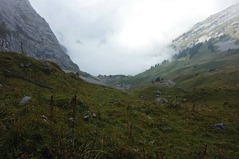 Viel Nebel vorne