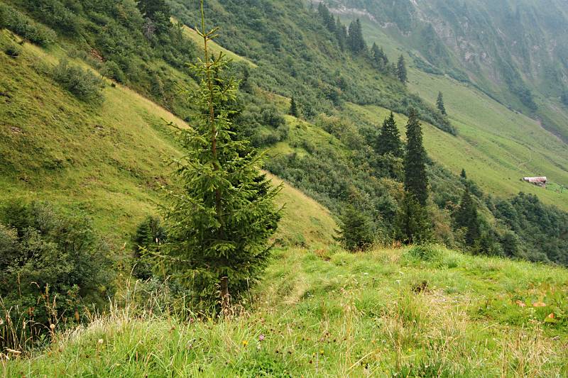 Grüne Hänge entlang Wanderweg