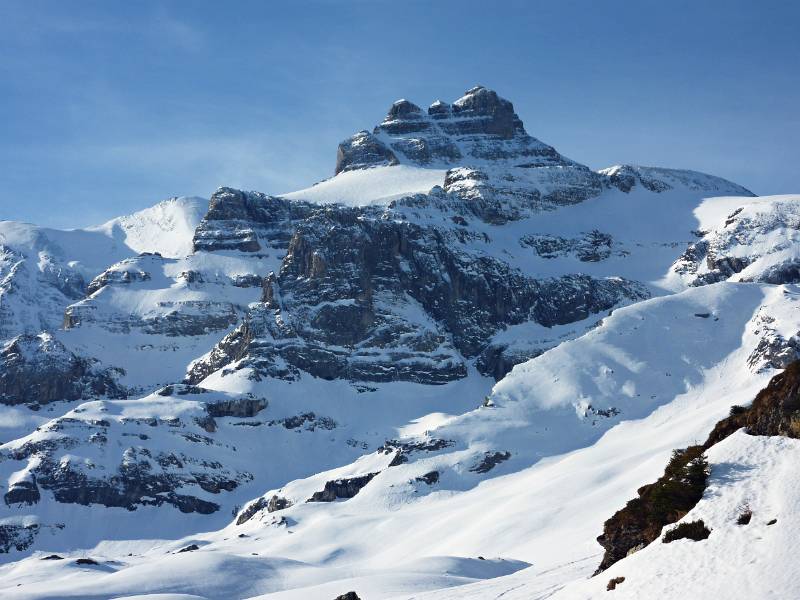 Blick auf Blümlisalp. Wildi Frau