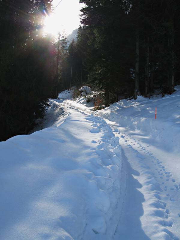 Viel Schnee auf dem Waldweg