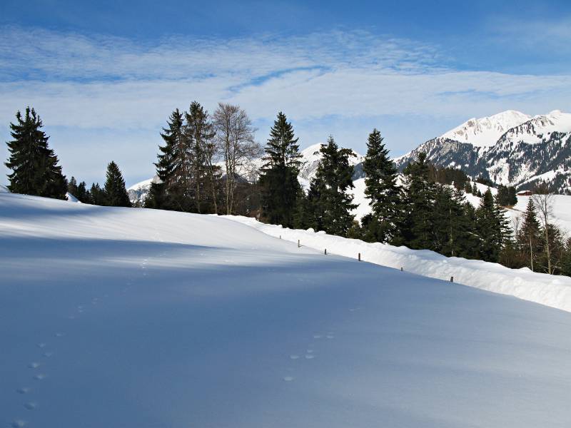 Schönes Wetter