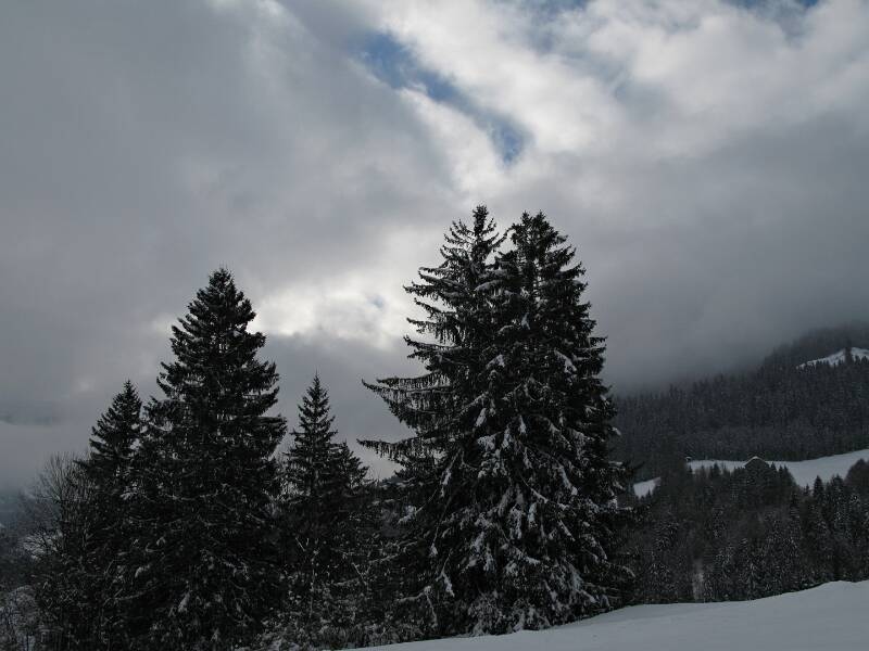 090221-Beichle-_0261