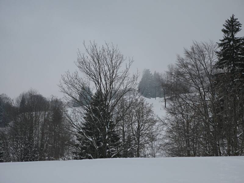 090221-Beichle-_0262