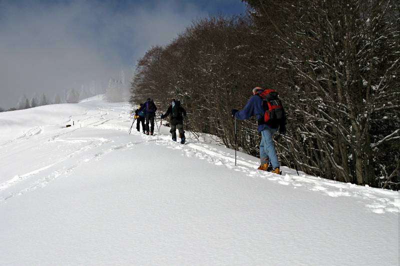 Es geht weiter entlang der Grenze von Wald