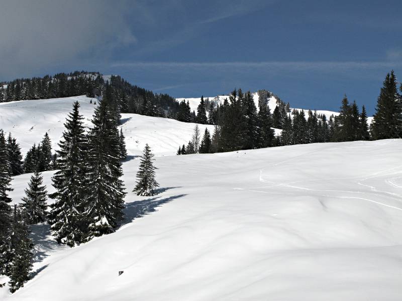 Der Gipfel von Beichle bereits in Sicht