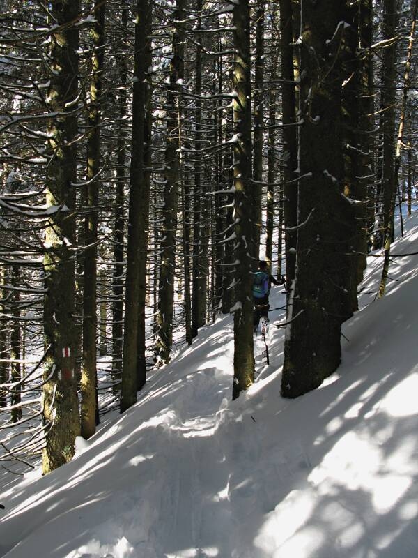 090221-Beichle-_0291