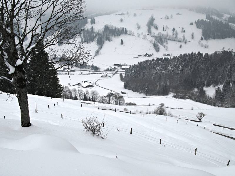 Die letzten Meter bis Schintmoos