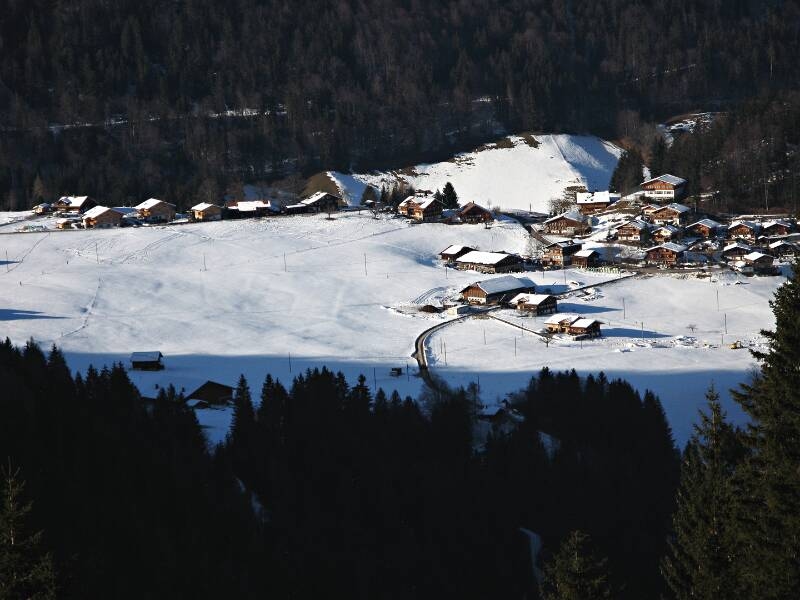 090117-Honiesen-_0233