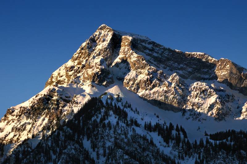 Seehorn in ersten Sonnenstrahlen