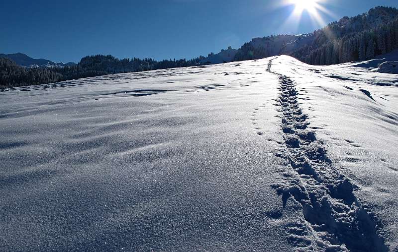 Viel Sonne und Pulverschnee aber es ist ziemlich kalt.