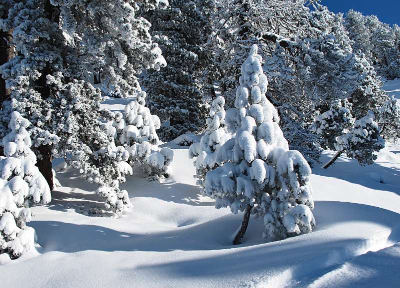 Schöne Winterlandschaft