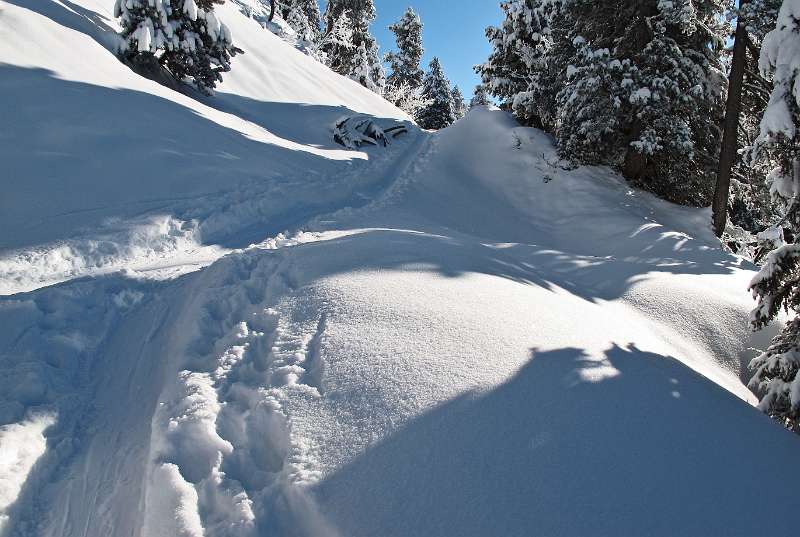 Exzellente Bedingungen für Anfang der Winter