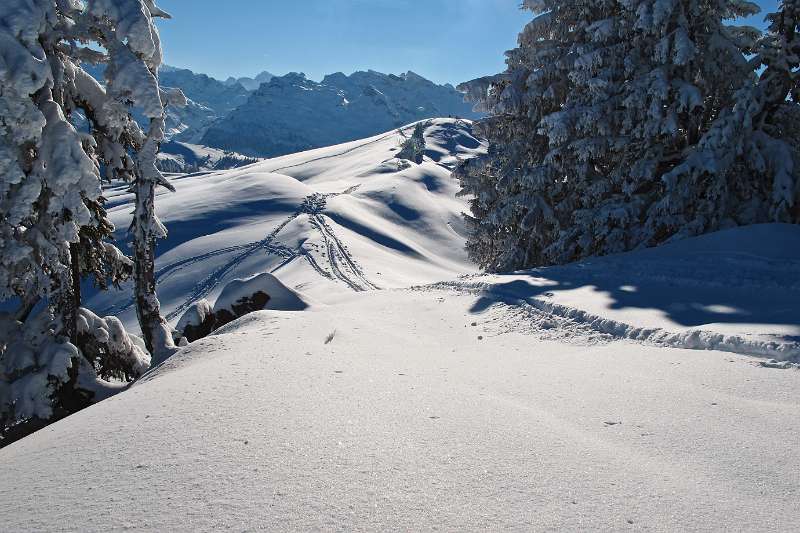 Was für ein schöner Wintertag