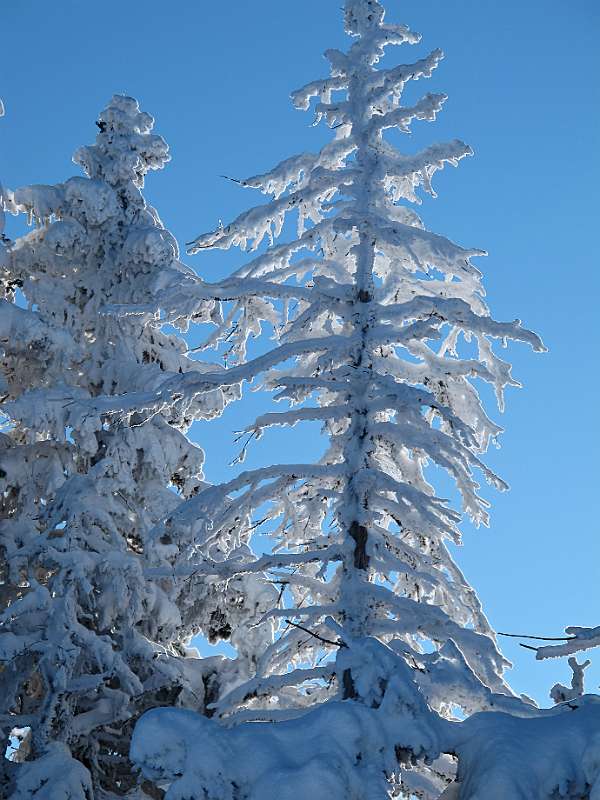 Schnee glänzt in der Sonne