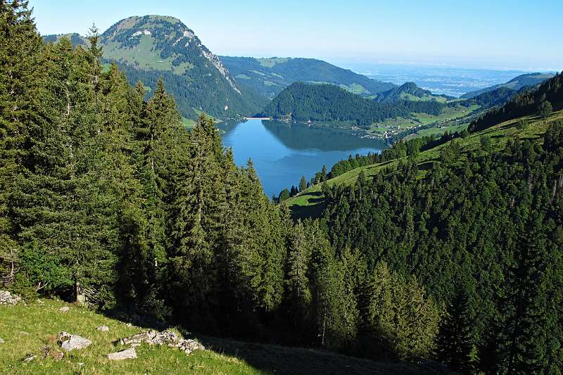 Wägitalersee, Staumauer am Ende und links Gross Aubrig