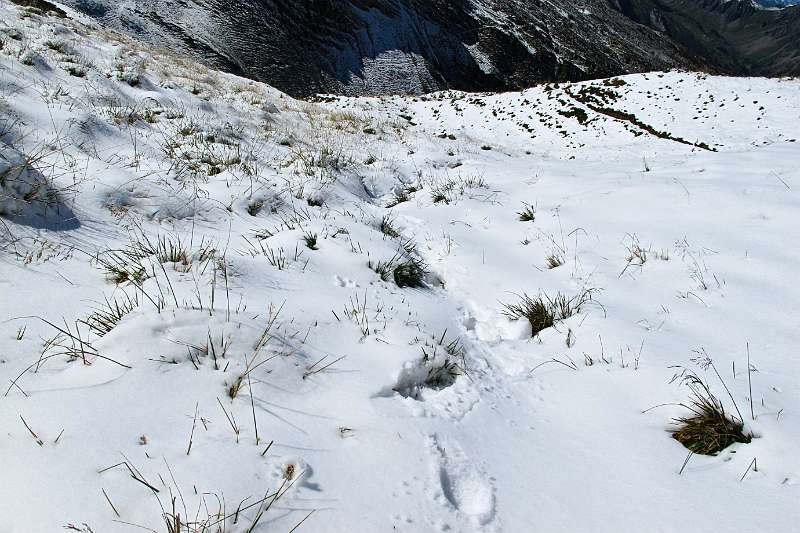 Wanderspuren in unerwertet früher, weisser Schnee