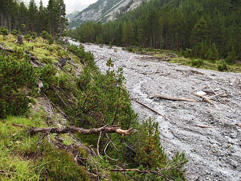 Die Spuren der Naturgewalt in Nationalpark