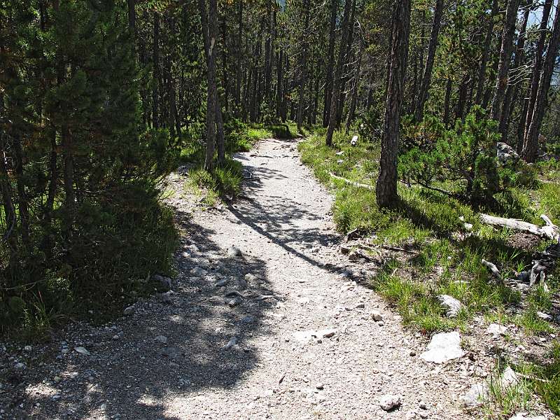 Wanderweg in der Nähe vom Parkplatz 7