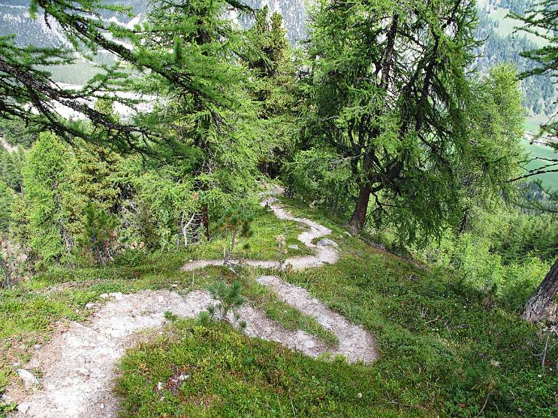 Der Wanderweg schlingelt steil im Wald, es ist steiler als man