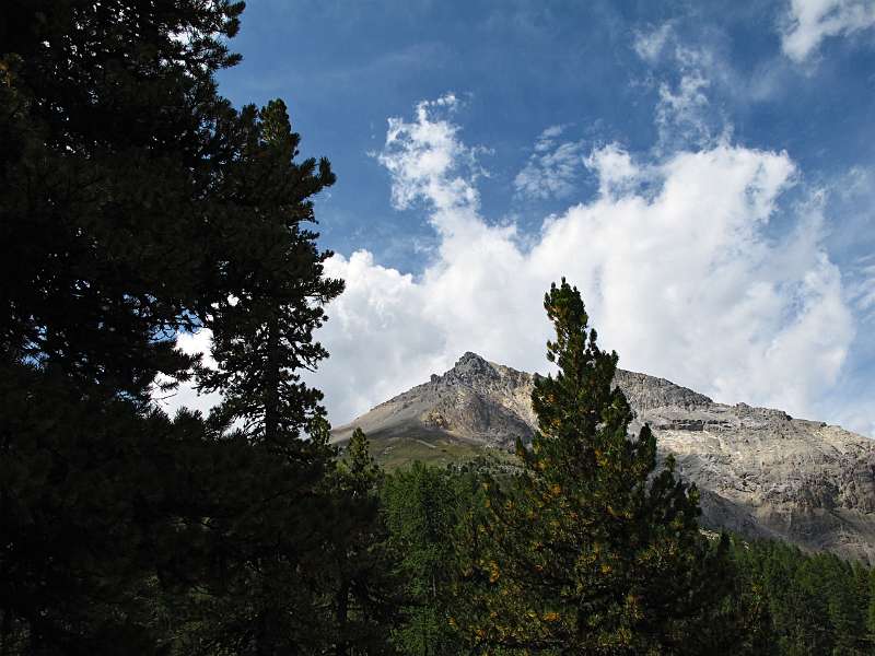 Der letzte Blick Richtung Piz Daint