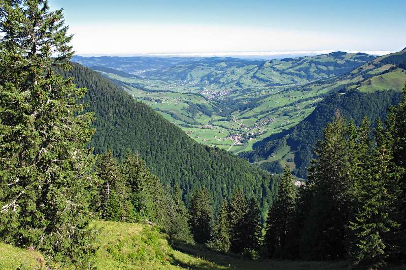 Die grüne Hüggel von Toggenburg. Blick Richtung Wattwil