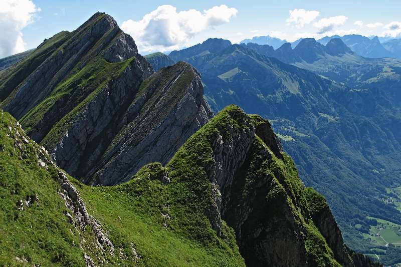 Weitere Churfirsten von Selun aus. Der höchste Gipfel ist Frümsel, das