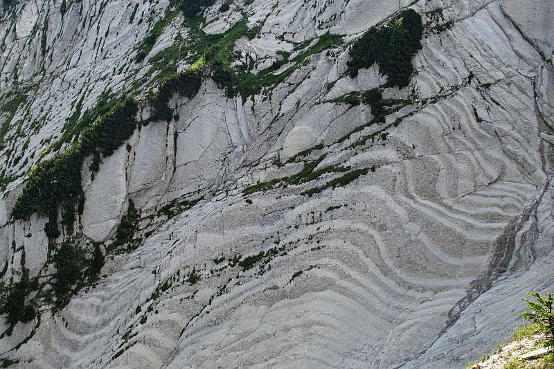 Felsen mit weissen Streifen