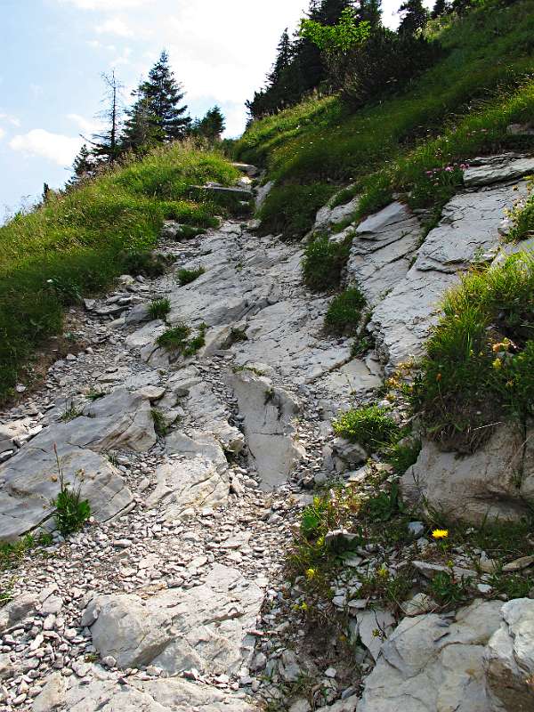 Gut ausgebauter, gemütlicher Wanderweg