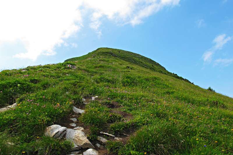 Blick Richtung Gipfel