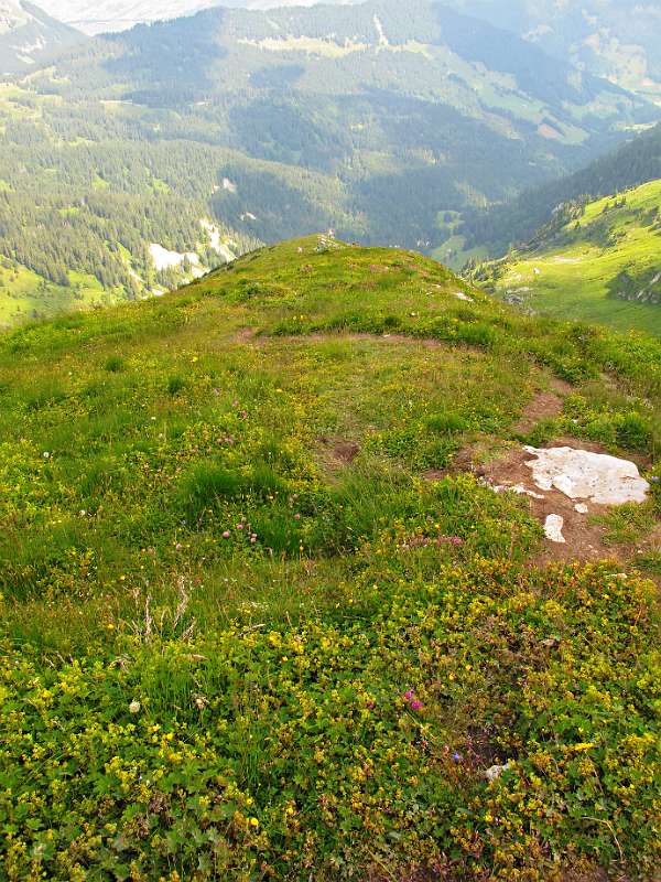 Blick Richtung Leistbach