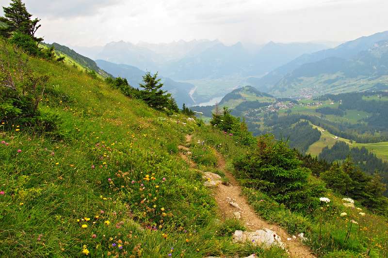 Walensee, Arvenbüel, Amden