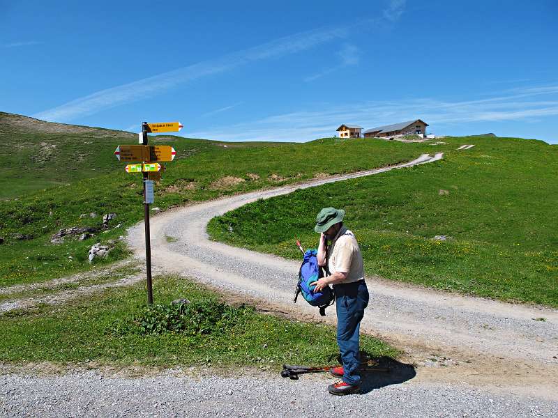 Auf dem Seefeldalp.