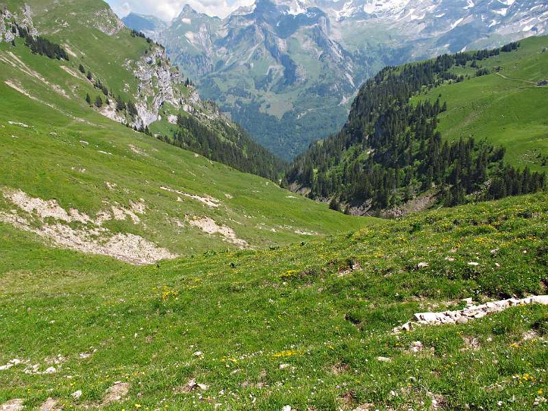 Blick Richtung Schlucht entlang der Abstiegsroute.