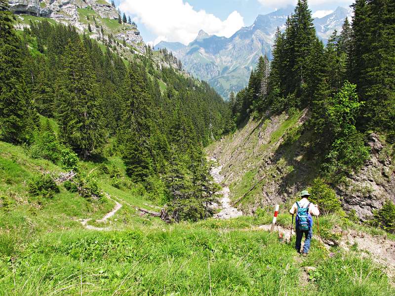 Schöner Wanderweg im Wald.