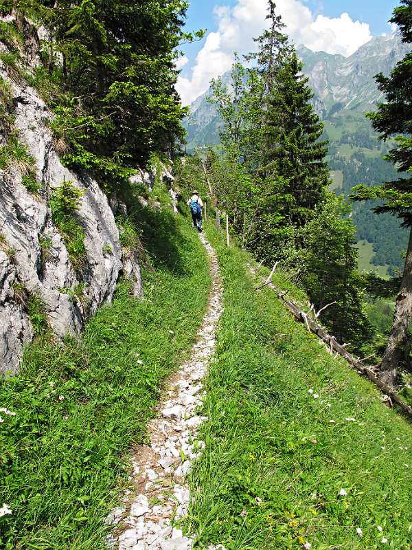 Auf dem Wanderweg zum Stöckalp.