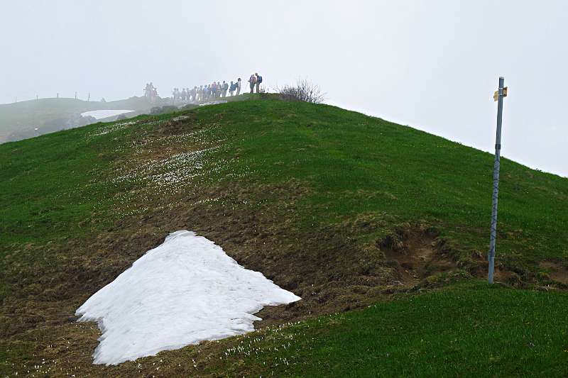 Auf der Musenalp